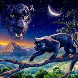 Пазл: Пантера