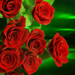 Пазл: Розы