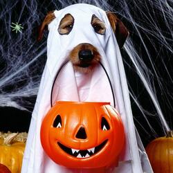 Пазл: Хэллоуин