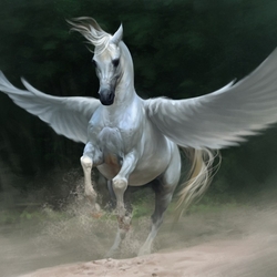 Пазл: Пегас