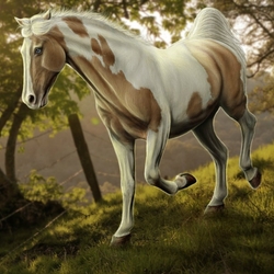 Пазл: Лошадь