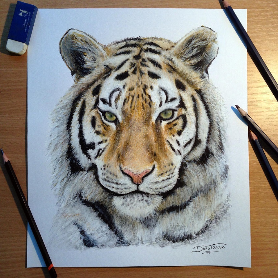 Рисунок тигра для срисовки цветной