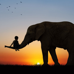 Пазл: Ребенок и слон