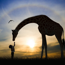 Пазл: Ребенок и жираф