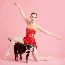 Пазл: Танцоры и собаки