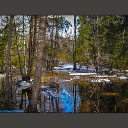 Пазл: Весеннее половодье