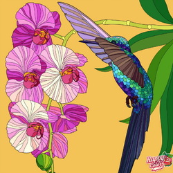 Пазл: Колибри и орхидея