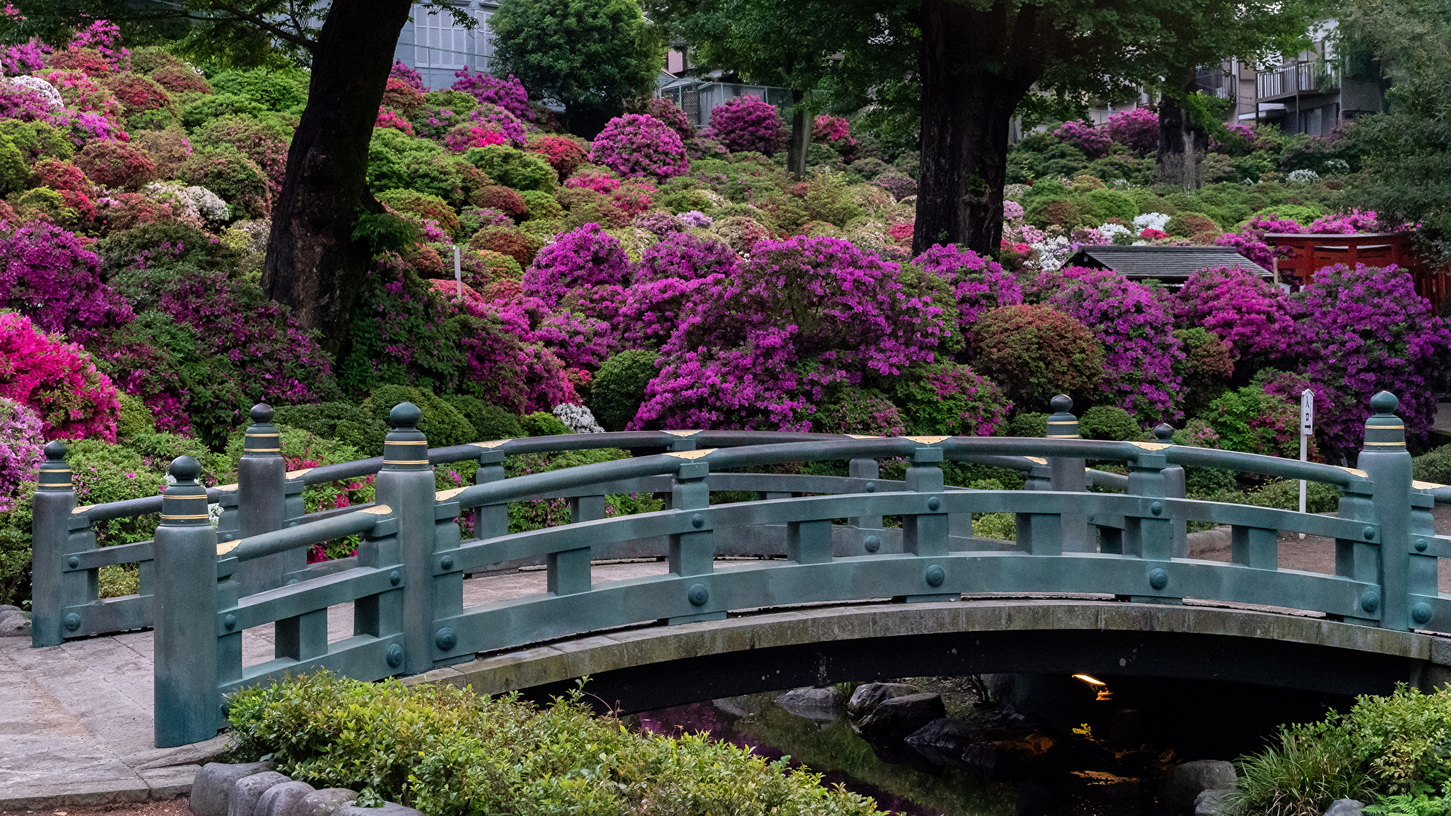 японские сады картинки