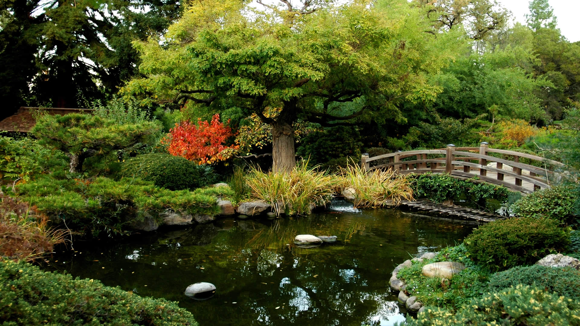 Парк Клингендаел-японский сад