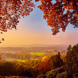 Пазл: Ярко красная осень