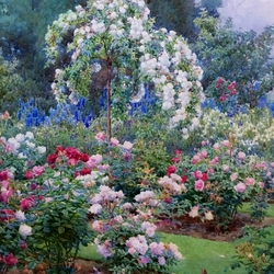 Пазл: Розы в саду