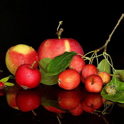 Пазл: Яблочки 