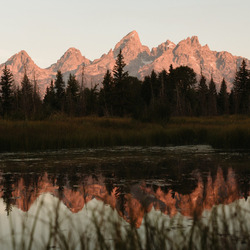 Пазл: Природа