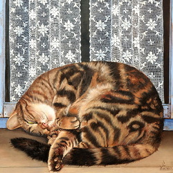 Пазл: Кошка спит на окошке