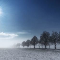 Пазл: Зимнее солнце