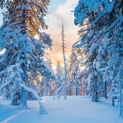 Пазл: Лапландия