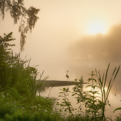 Пазл: Утро на озере