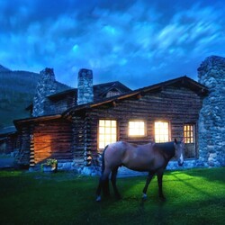 Пазл: Лошадь