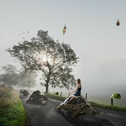 Пазл: Гонки