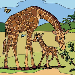 Пазл: Жирафы