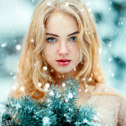 Пазл: Еловая ветка