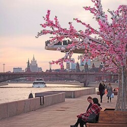 Пазл: Ранняя весна в Москве