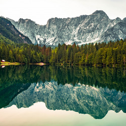 Пазл: Озеро и лес