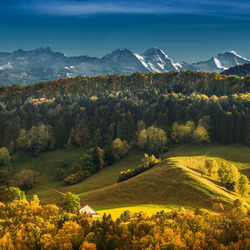 Пазл: Солнечная осень