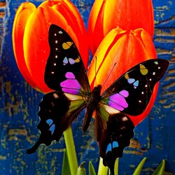 Пазл: Бабочки и тюльпаны