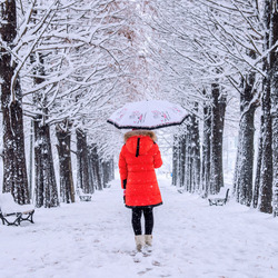 Пазл: Красный пуховик и белая зима