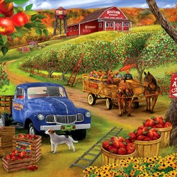 Пазл: Урожай яблок