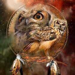 Пазл: Дух совы 