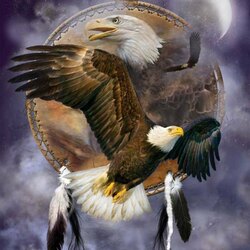 Пазл: Дух орла