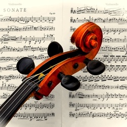 Пазл: Соната