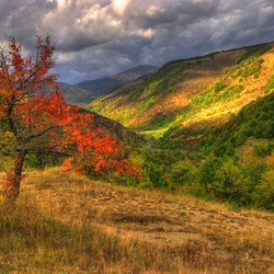 Пазл: Поцелуй осени