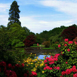 Пазл: Красоты природы