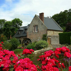 Пазл: Водяная мельница