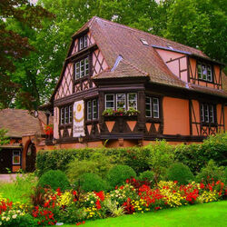 Пазл: Коттедж в лесу