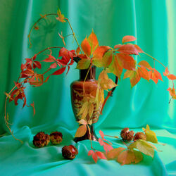 Пазл: Осенний натюрморт