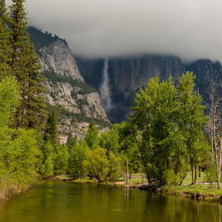 Пазл: Национальный парк Йосемити