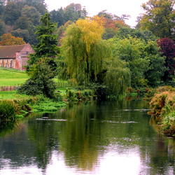 Пазл: Тихая речка