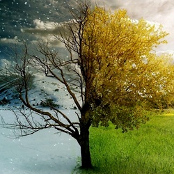 Пазл: Осень и зима