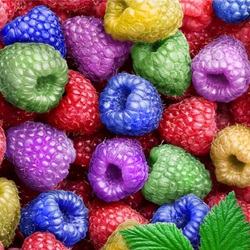 Пазл: Фантастическая малина