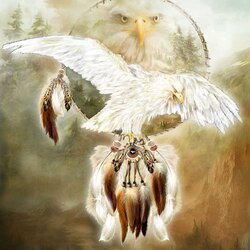 Пазл: Дух белого орла