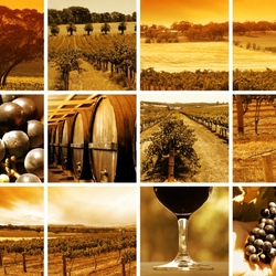 Пазл: Вино