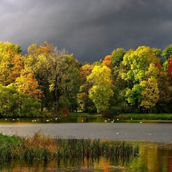 Пазл: Осенний парк