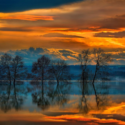 Пазл: Отражение