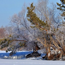 Пазл: Зимний пейзаж