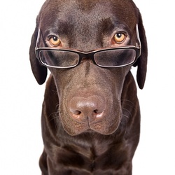 Пазл: Умная