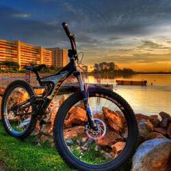 Пазл: Вечерняя прогулка